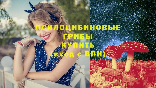 молекула духа Горняк