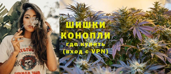 трава Иннополис